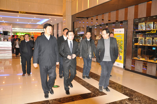 国家广电总局领导视察石家庄万达影城